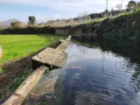 Quinta da Lage Agroturismo e Enoturismo