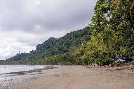 Casa Mareas: Ocean & Jungle View
