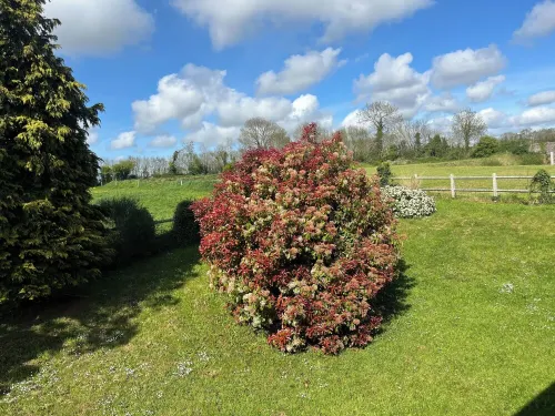 FAMILY HOME BETWEEN SEA AND COUNTRYSIDE Hotels in Blainville-sur-Mer