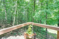 Cozy Cabin on 10 Acres, Walk to Chippewa River! - parking
