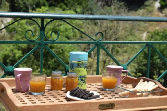 Villa Verde with Outdoor Jacuzzi