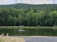 Poconos Top Rated Resort - Saw Creek Estates - 수영장