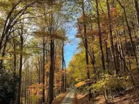 Spacious suite surrounded by nature with living room, fireplace, porch, fire pit Hotels in Caldwell County