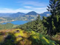 Apartment in Sankt Kanzian near Klopeiner Lake - 2-Star