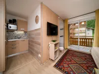 Apartment in France with Ski-In Access
