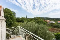 Apartments Villa Maslina - Two Bedroom Apartment with Terrace and Garden View Hotels in Cilipi