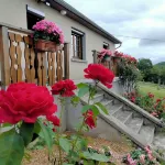 Pleasant house in the heart of the Auvergne volcanoes, Sancy massif Hotels in Saint-Diery