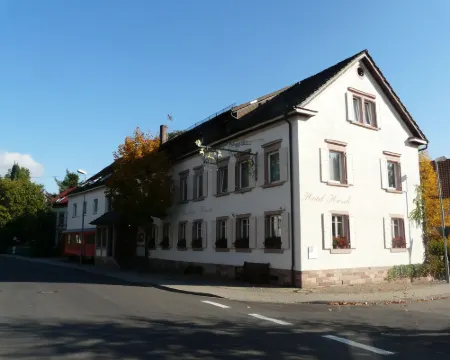 Hotel Hirsch Hotels in Kehl am Rhein