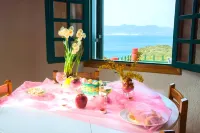 Anemone Homes - Wifi