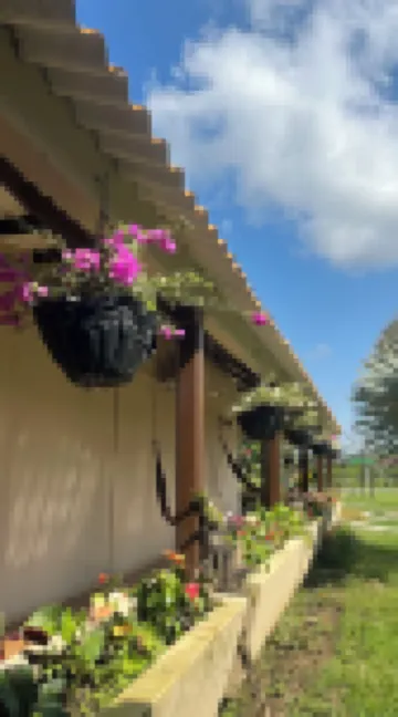 ブエノスアイレス フィンカ ホテル のホテル