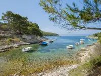 House Villa Bistrana Hotels in Vela Luka