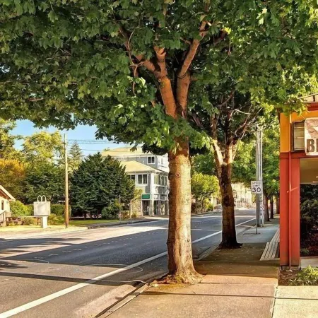 NE 82nd St Redmond Отели в г. Редмонд