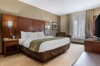 Comfort Suites Johnson City Near University