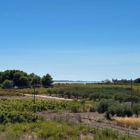 Sofia Kite Apartment
