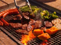 Nature Resort in Ume Hotels in Saiki