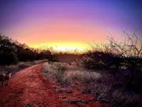 5-Sleeper Game Farm Chalet Harties area - 2-Star