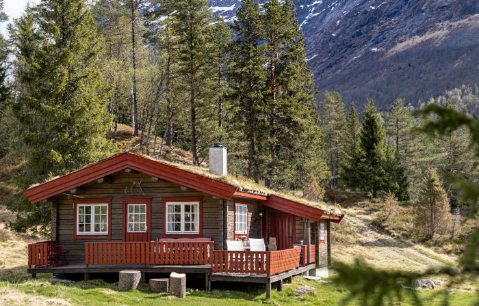 Fjellbris