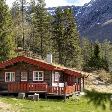Fjellbris