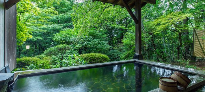Gora Kansuiro Hotels in Hakone
