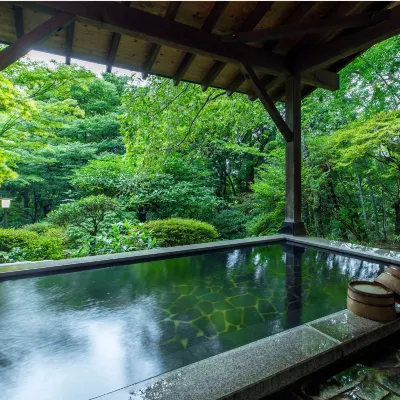 Gora Kansuiro Hotels near Hakone Open-Air Museum