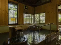 Hatago Kayausagi - Hot Springs