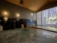 Hotel Spatio Kobuchisawa - Hot Springs