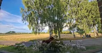 Tollarp - Barn - Sleeps 3 - Pet Friendly - Parking - Homestays