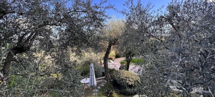 Villa Renetta Rapallo Hotel a Rapallo
