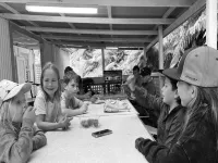 Mountain View Motel - Bãi đậu xe