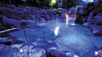 Akakura Wakui Hotel - con terme