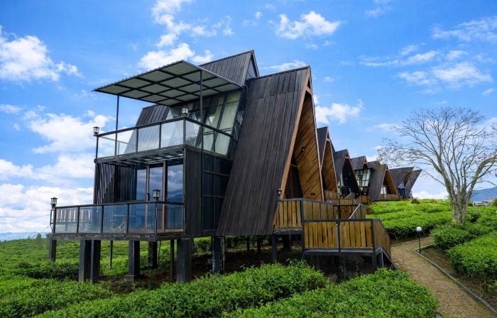 Nimo Tea Resort