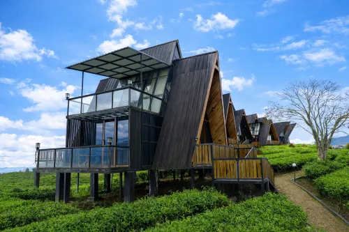 Nimo Tea Resort - Pet friendly