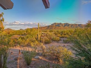 Tucson Natural 5Br by Casago