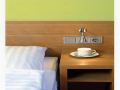 business-and-budget-hotel-tessin