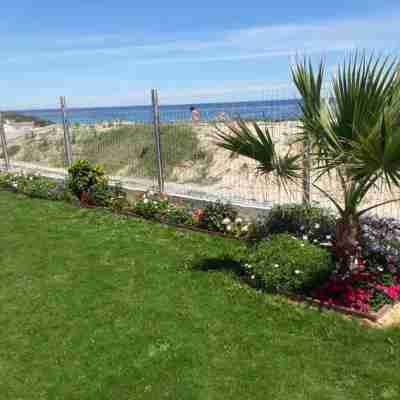 Beach Front Luxury Living Apartment Hotel Exterior