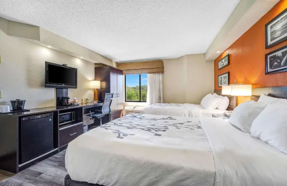 佛羅裡達州利斯堡蔚景溫德姆飯店