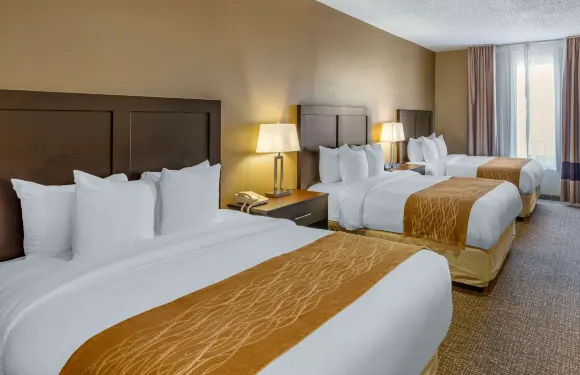 伊凡斯頓 I-80 舒適酒店