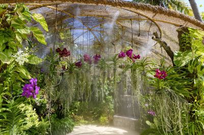 庭 シェラトン モルディブ フルムーン リゾート&スパの写真