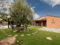 Olivella