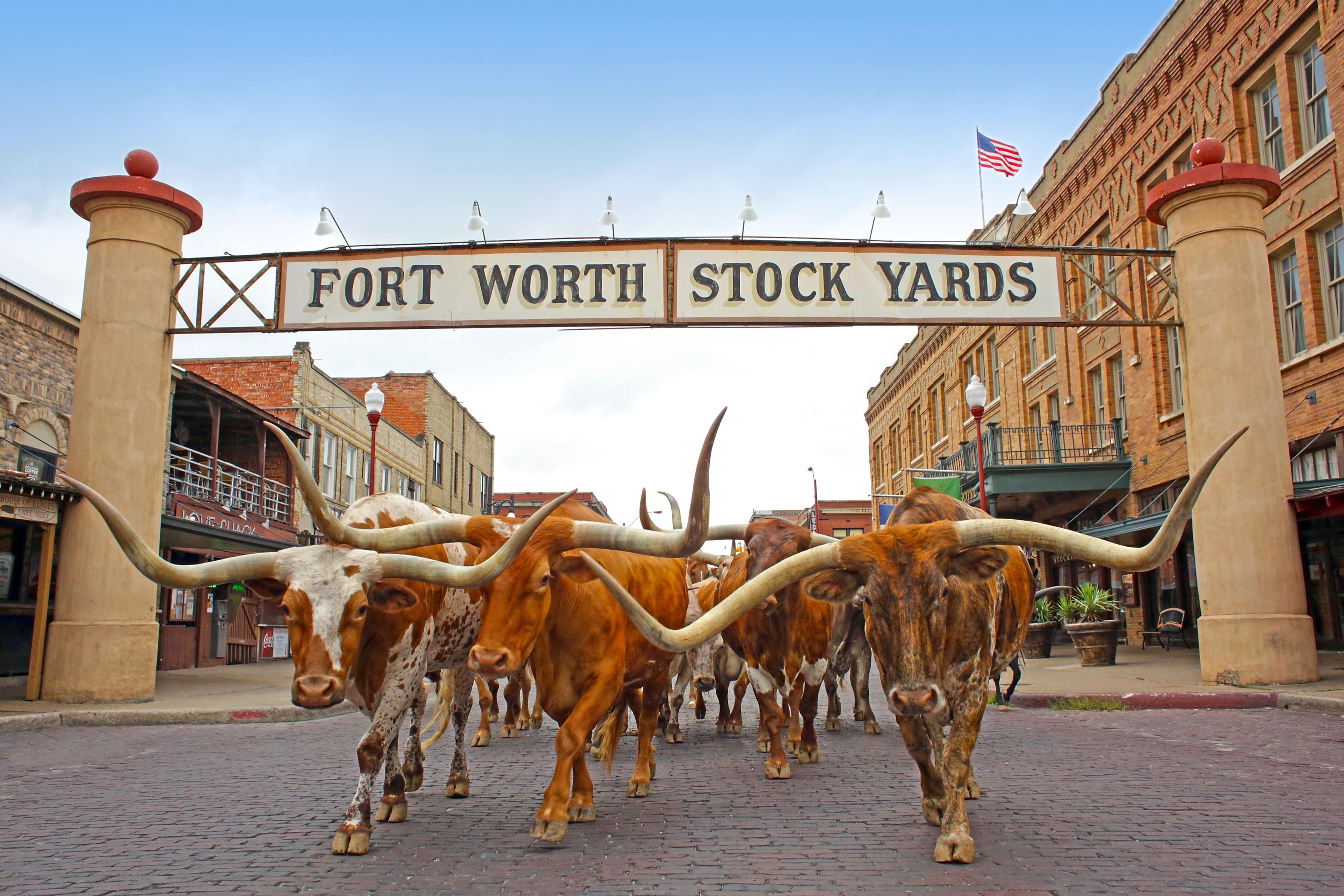 SpringHill Suites by Marriott Fort Worth Fossil Creek