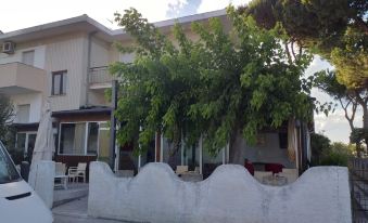 Quadruple Room in Pineto - Enjoy a Relaxing Holiday