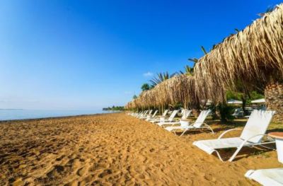 a sandy beach with a row of lounge chairs and a few palm trees lining the shore at Hotel Summery