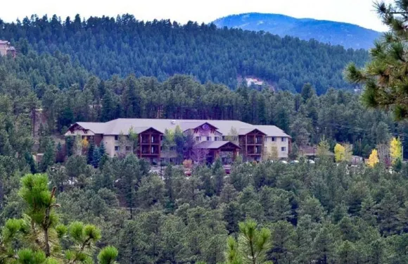 埃弗格林百匯金西舒適套房酒店