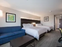 Holiday Inn Express & Suites CHICAGO - HOFFMAN ESTATES by IHG Hotels in Hoffman Estates