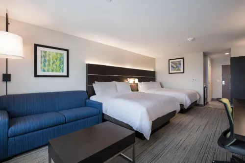 Holiday Inn Express & Suites Chicago - Hoffman Estates