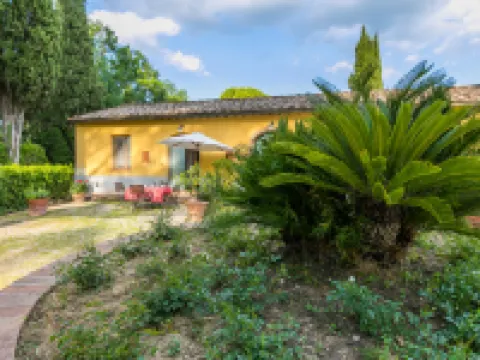 Giuggiolo - Giuggioli 1