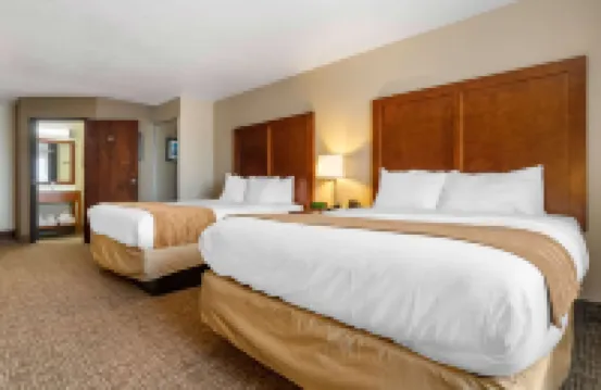 컴포트 인 & 스위트 사우스 힐