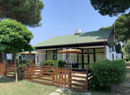 Dog's Bungalow