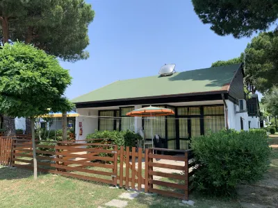 Dog's Bungalow