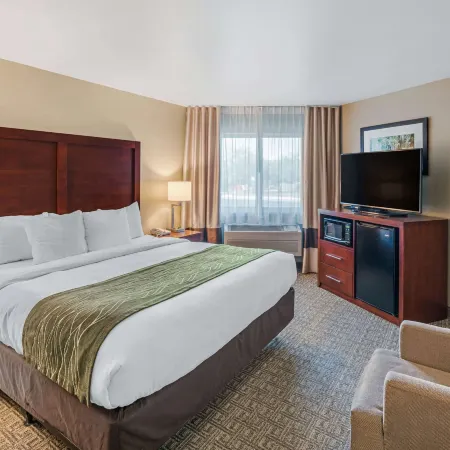 Comfort Inn University